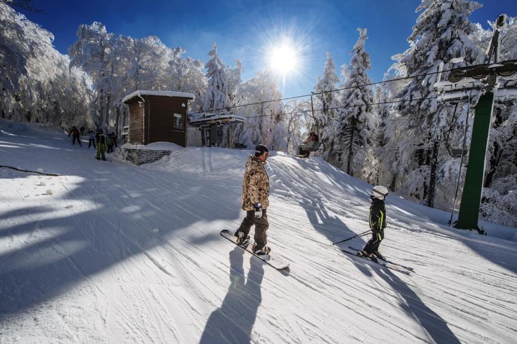 J-H APARTMÁNY SKIRESORT Buková Hora - Orlické hory Červená Voda Exterior foto